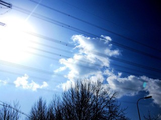 IMG_1263.jpg