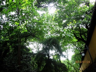IMG_31431.jpg