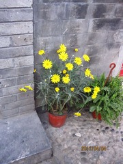 IMG_4984.jpg