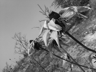 WP_000093.jpg