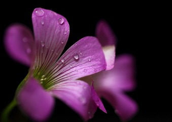 IMG_0831.JPG
