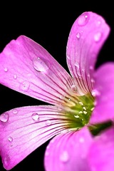 IMG_08251.jpg