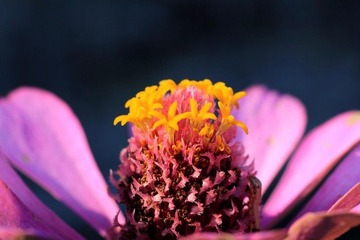 IMG_1474.JPG