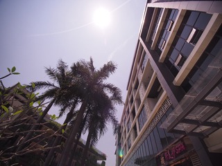 P4280611