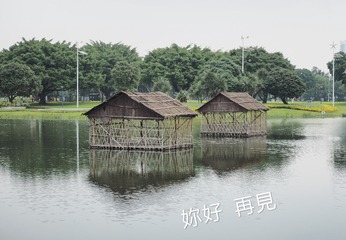 230629