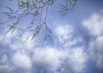 _MG_9565_1