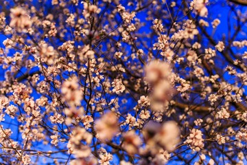 _MG_8761-HDR