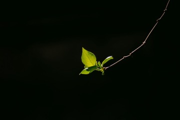 _MG_0166-HDR