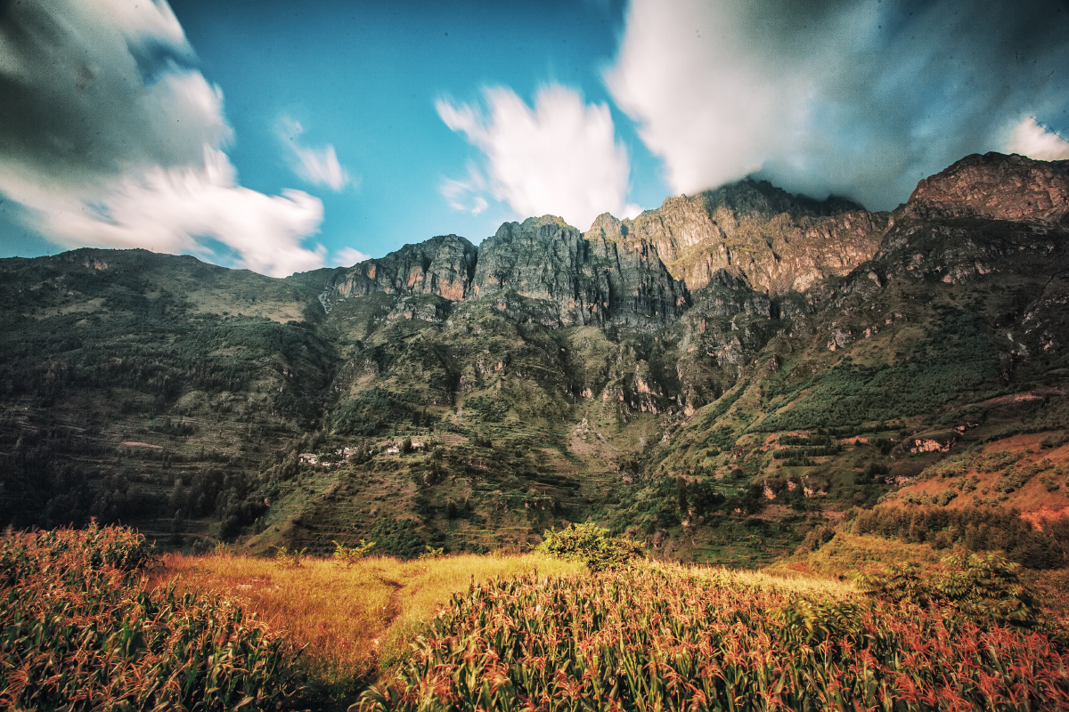 东川李子沟开花洋芋