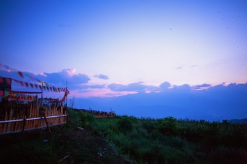 IMG_2856(1)
