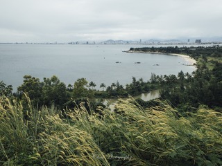 2015-16越南-2