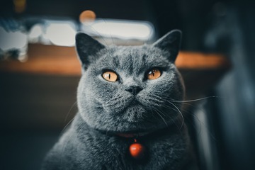 12745