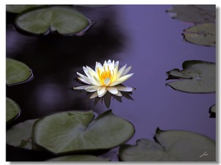 0062