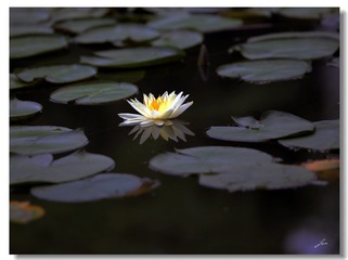 0061