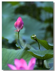 017
