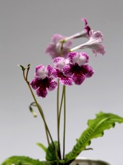 0131