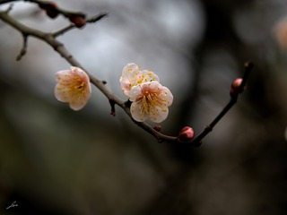 0157