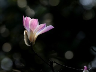 0166