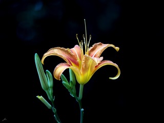 0264