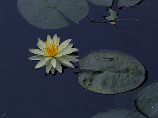 0276