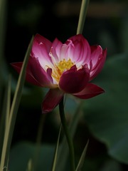 0297