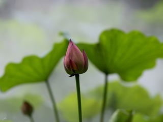 0305