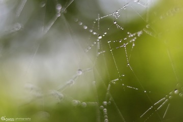 水的诗意狂欢