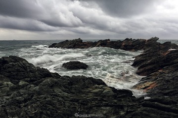 海魂