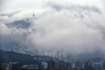 烟雨梧桐