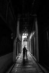 IMG_3541(1)