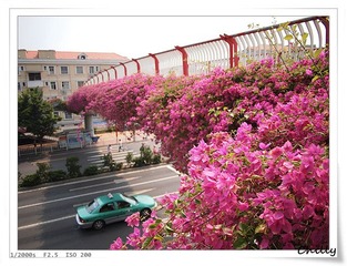 P9080100.jpg
