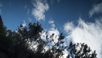 P9210417.JPG