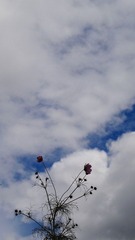 P9210482.JPG