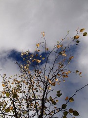 P92206911.jpg