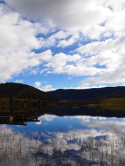 P92206501.jpg