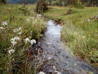P9220815.JPG