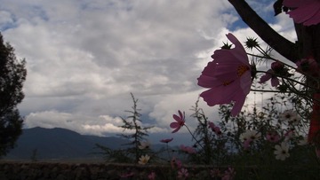 P9230999.JPG