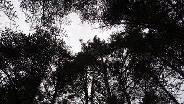 P9230926.JPG