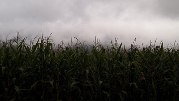 P9241018.JPG