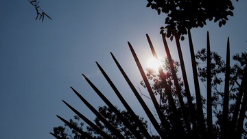PA041248.JPG