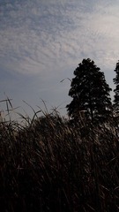 PA041321.JPG