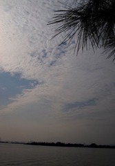 PA041355.JPG