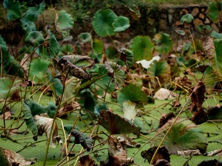 PA231730.JPG