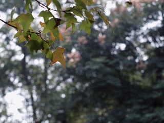 PA291855.JPG