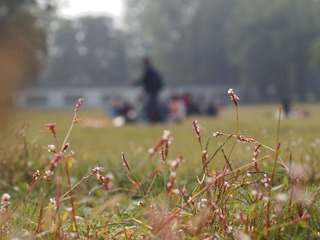 PA291856.JPG
