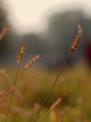 PA291859.JPG