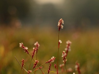 PA291860.JPG