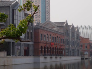 PB011945.JPG
