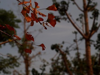 PB011952.JPG
