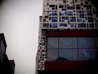 PB062053.JPG